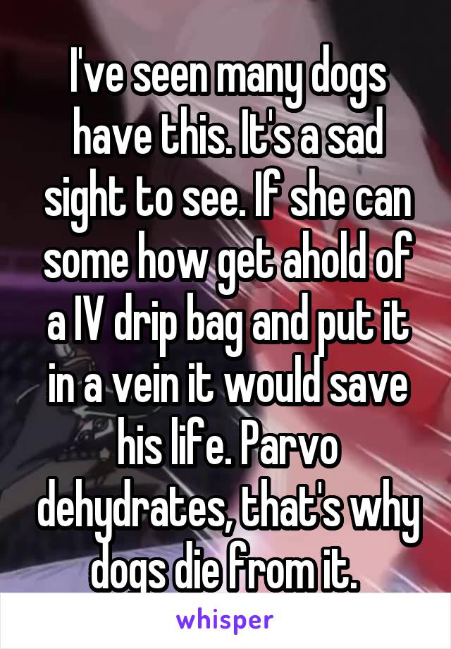 I've seen many dogs have this. It's a sad sight to see. If she can some how get ahold of a IV drip bag and put it in a vein it would save his life. Parvo dehydrates, that's why dogs die from it. 