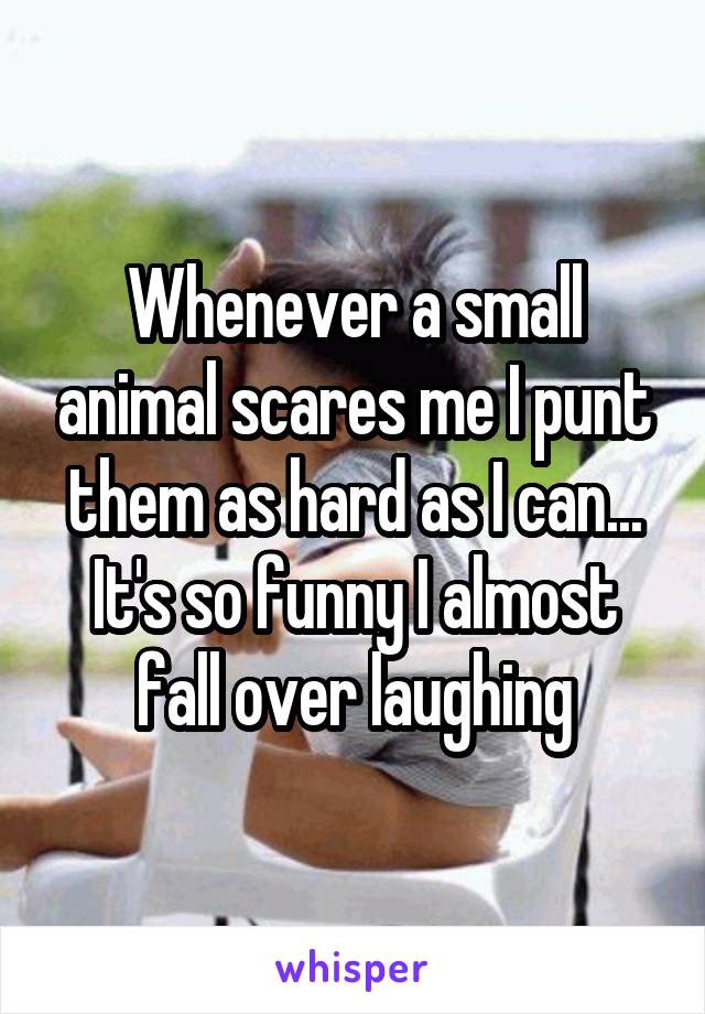 Whenever a small animal scares me I punt them as hard as I can... It's so funny I almost fall over laughing