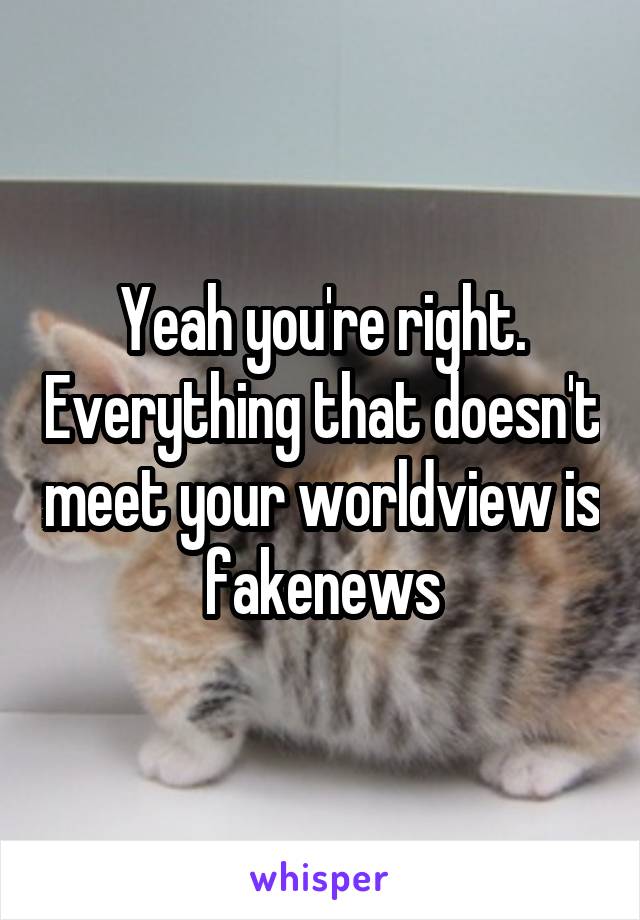 Yeah you're right. Everything that doesn't meet your worldview is fakenews