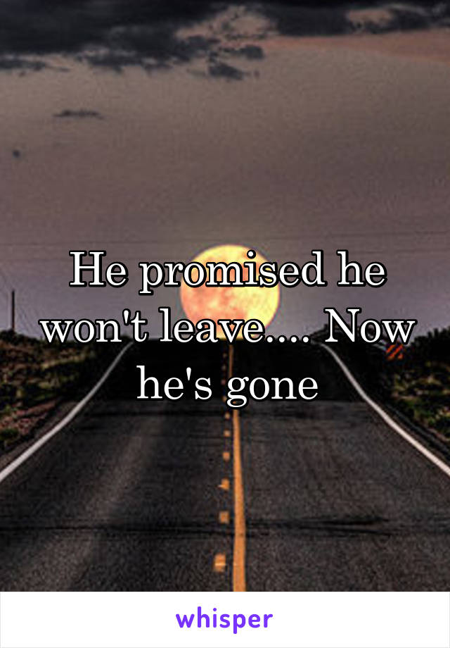 He promised he won't leave.... Now he's gone