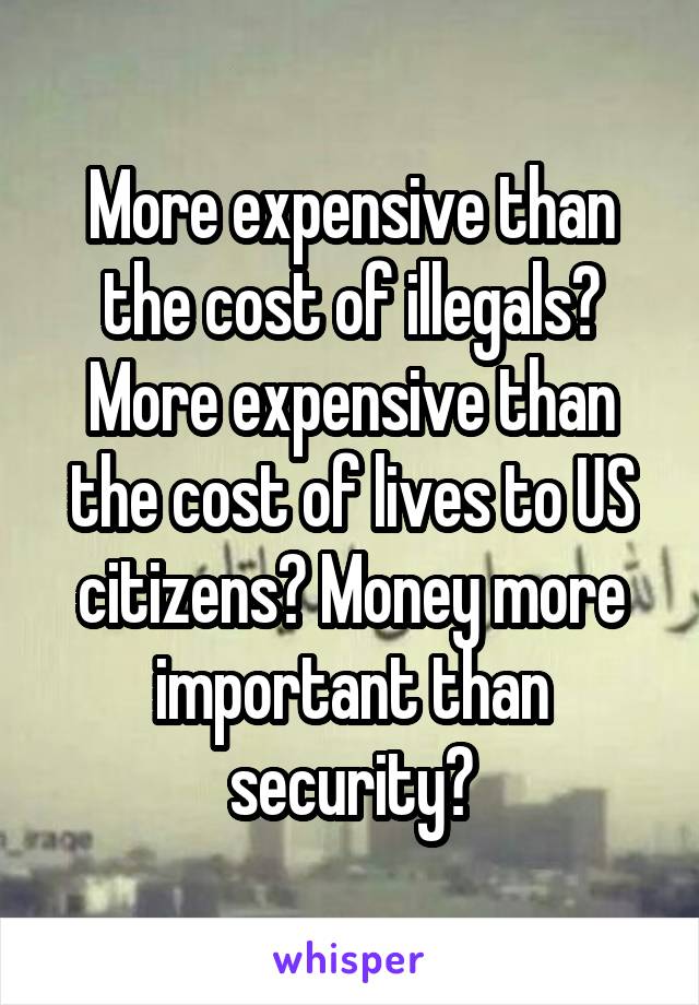 More expensive than the cost of illegals? More expensive than the cost of lives to US citizens? Money more important than security?