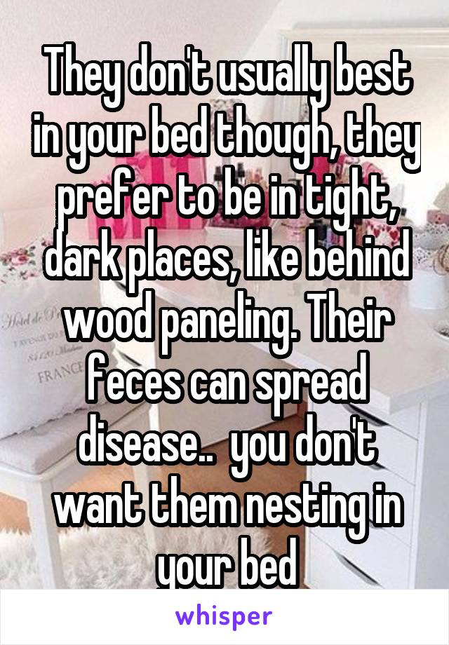 They don't usually best in your bed though, they prefer to be in tight, dark places, like behind wood paneling. Their feces can spread disease..  you don't want them nesting in your bed