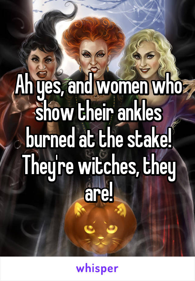 Ah yes, and women who show their ankles burned at the stake! They're witches, they are!