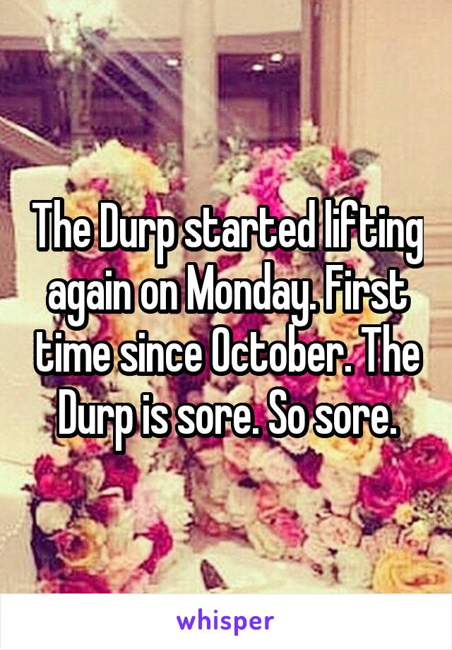 The Durp started lifting again on Monday. First time since October. The Durp is sore. So sore.