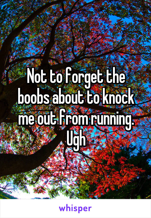 Not to forget the boobs about to knock me out from running. Ugh