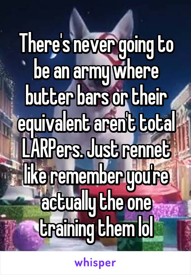 There's never going to be an army where butter bars or their equivalent aren't total LARPers. Just rennet like remember you're actually the one training them lol