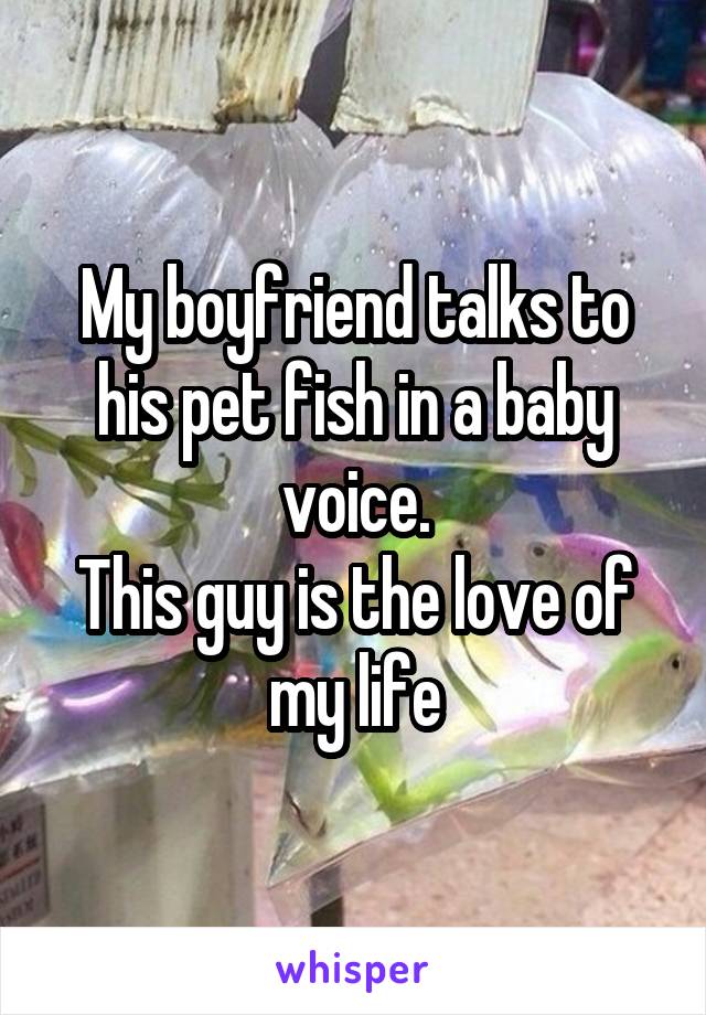 My boyfriend talks to his pet fish in a baby voice.
This guy is the love of my life