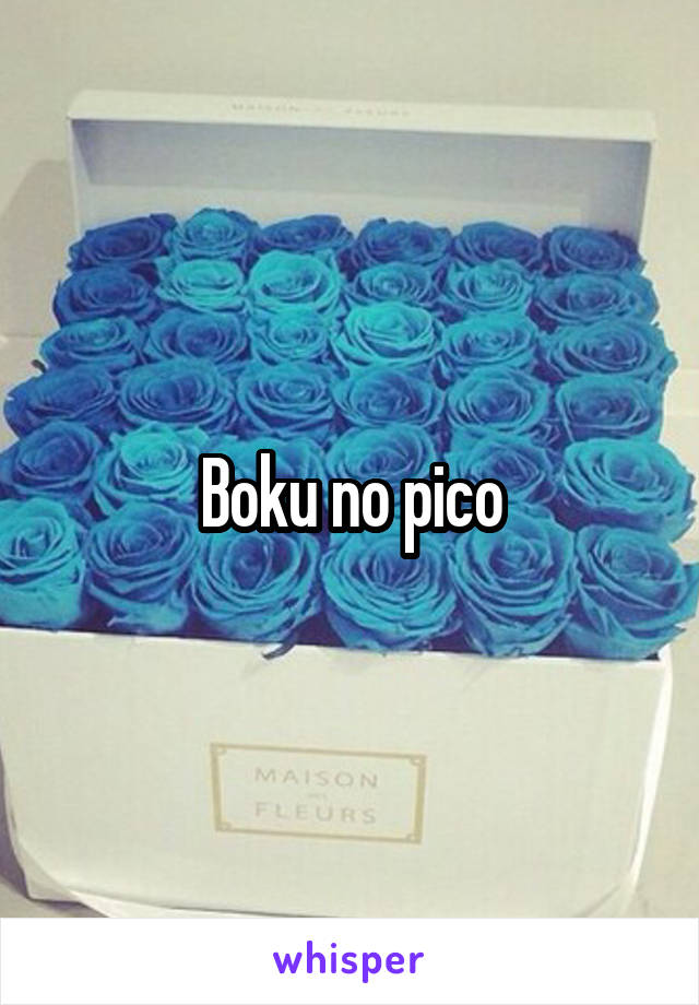 Boku no pico