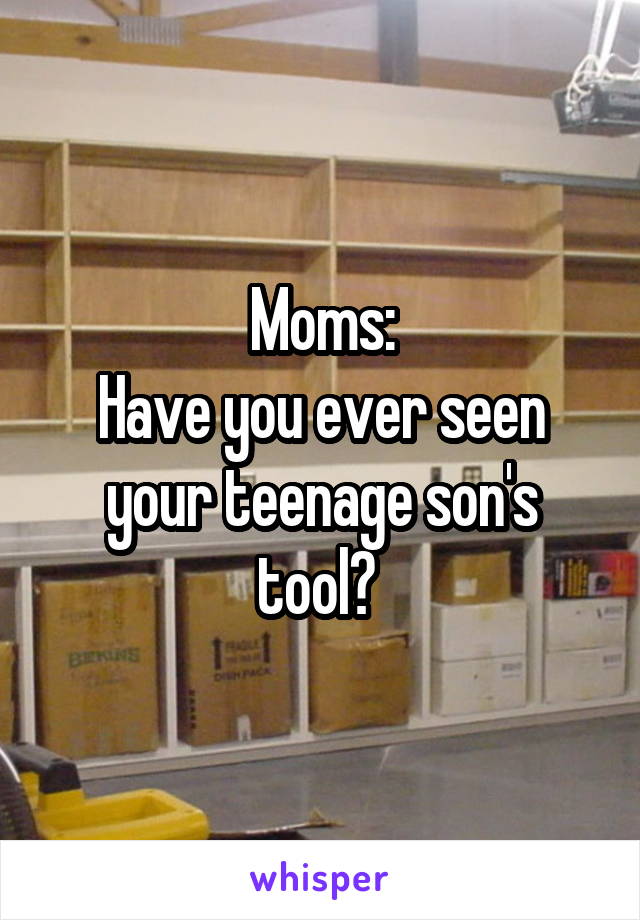 Moms:
Have you ever seen your teenage son's tool? 