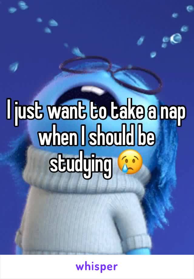 I just want to take a nap when I should be studying 😢