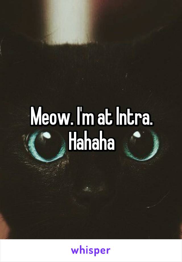 Meow. I'm at Intra. Hahaha