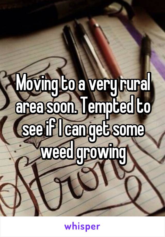 Moving to a very rural area soon. Tempted to see if I can get some weed growing