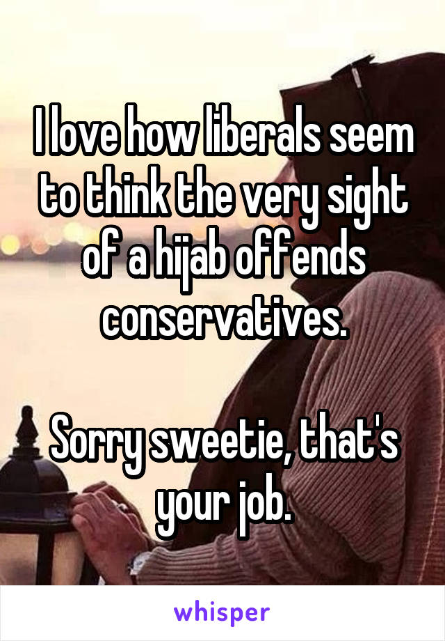 I love how liberals seem to think the very sight of a hijab offends conservatives.

Sorry sweetie, that's your job.