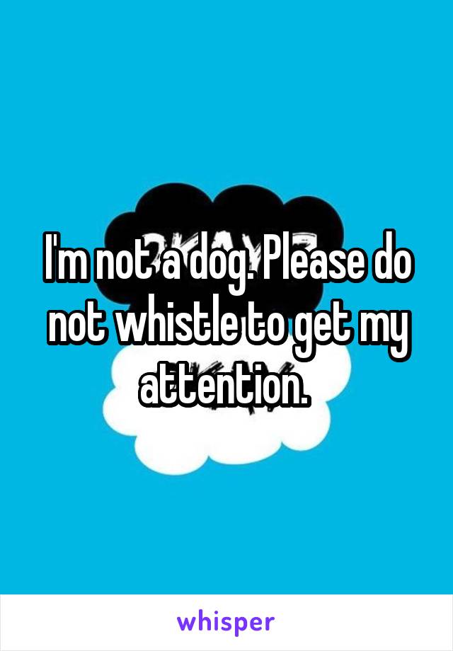 I'm not a dog. Please do not whistle to get my attention. 