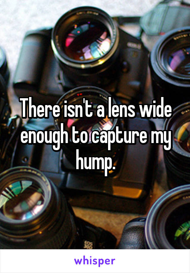 There isn't a lens wide enough to capture my hump.