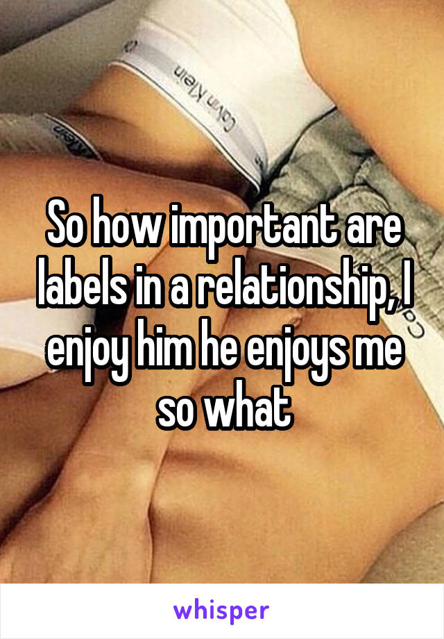 So how important are labels in a relationship, I enjoy him he enjoys me so what