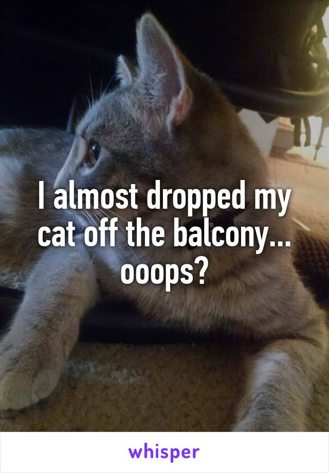 I almost dropped my cat off the balcony... ooops?