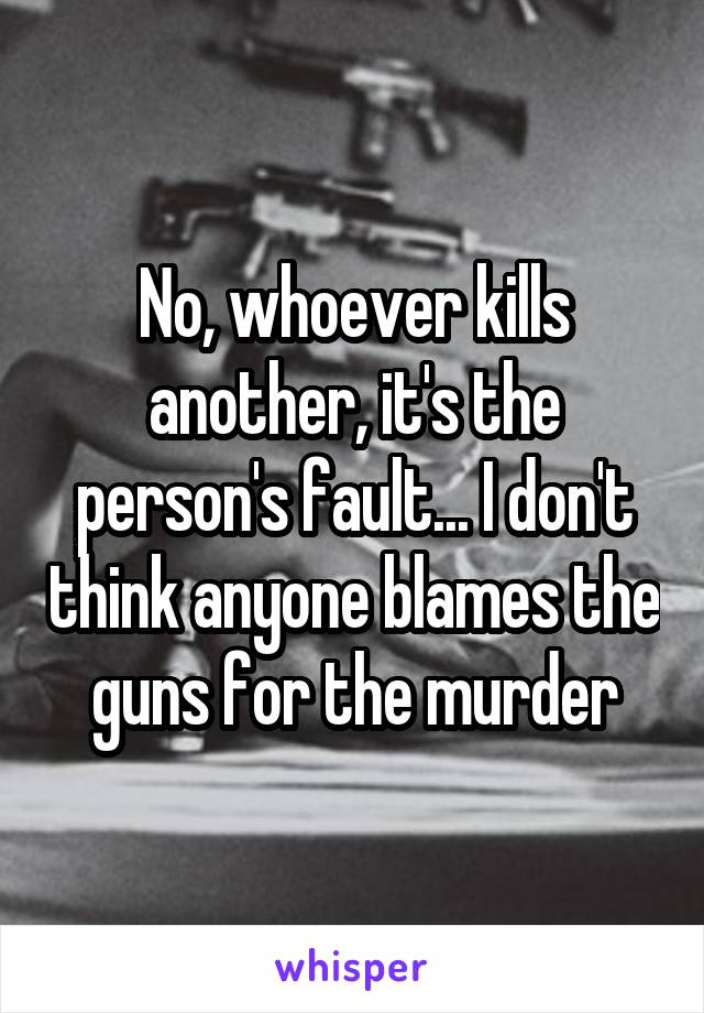 No, whoever kills another, it's the person's fault... I don't think anyone blames the guns for the murder