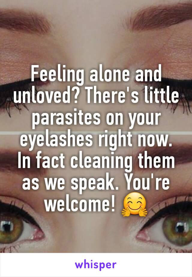 Feeling alone and unloved? There's little parasites on your eyelashes right now. In fact cleaning them as we speak. You're welcome! 🤗