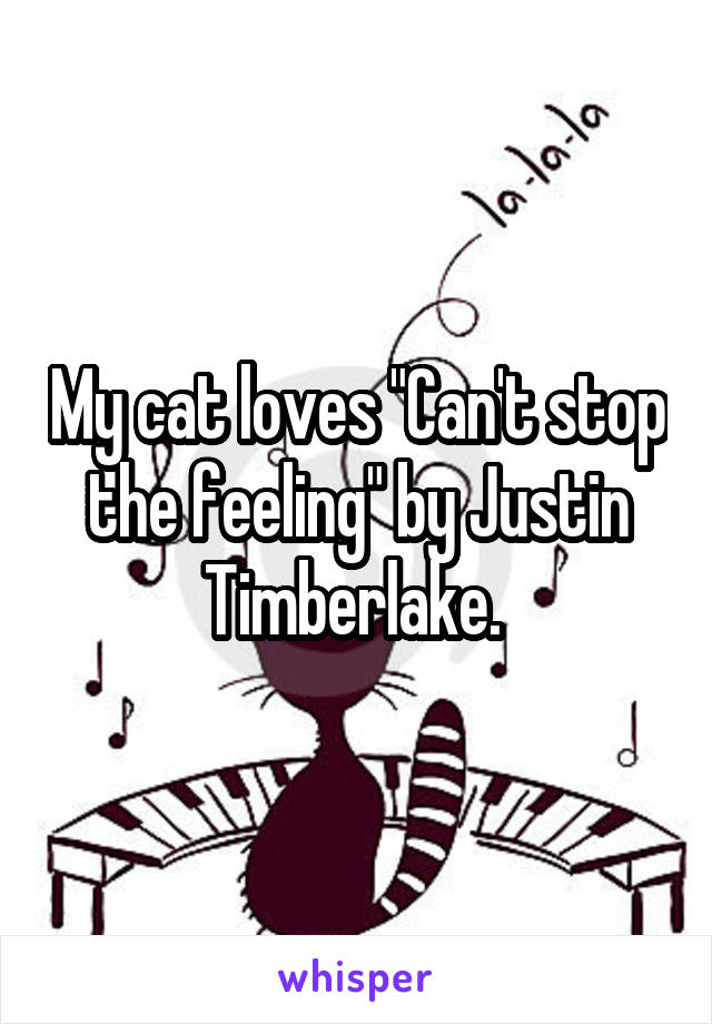 My cat loves "Can't stop the feeling" by Justin Timberlake. 