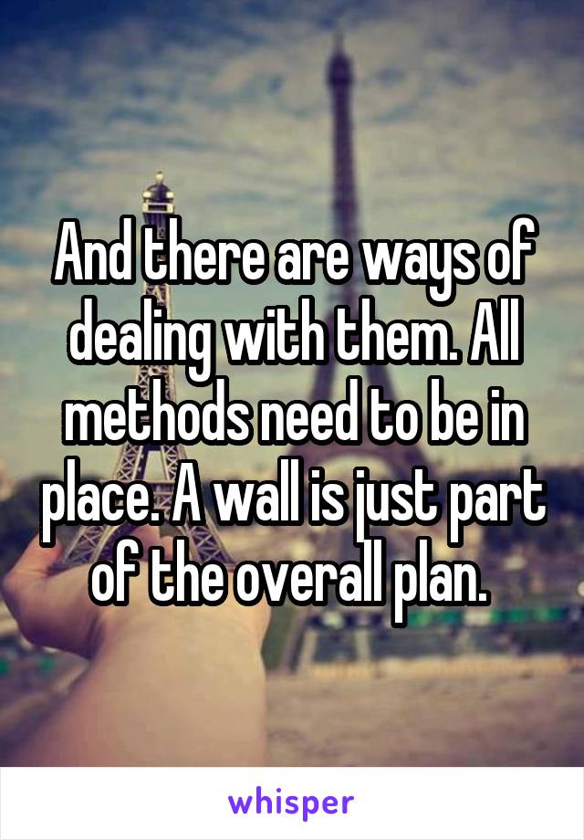 And there are ways of dealing with them. All methods need to be in place. A wall is just part of the overall plan. 