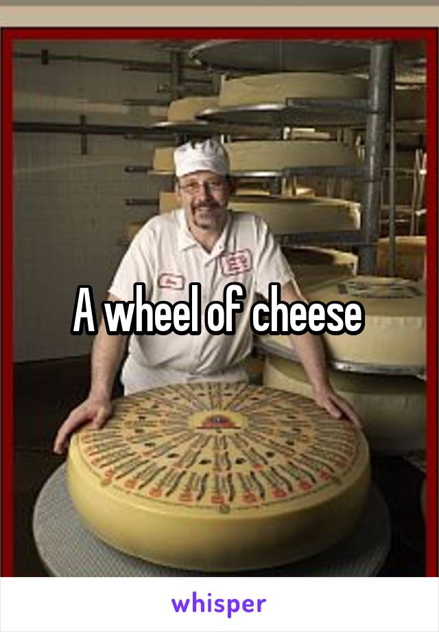 A wheel of cheese 