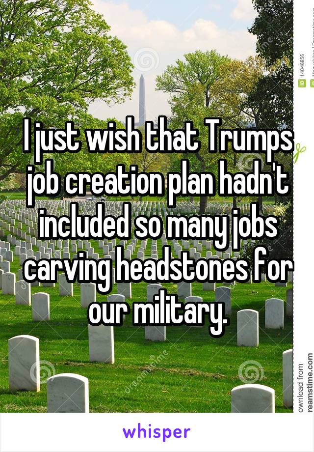 I just wish that Trumps job creation plan hadn't included so many jobs carving headstones for our military.