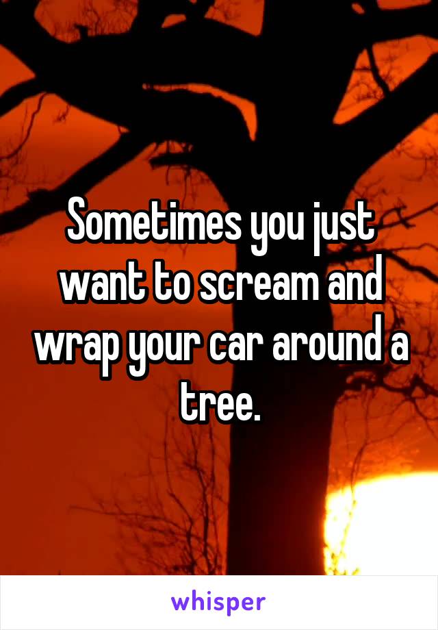 Sometimes you just want to scream and wrap your car around a tree.