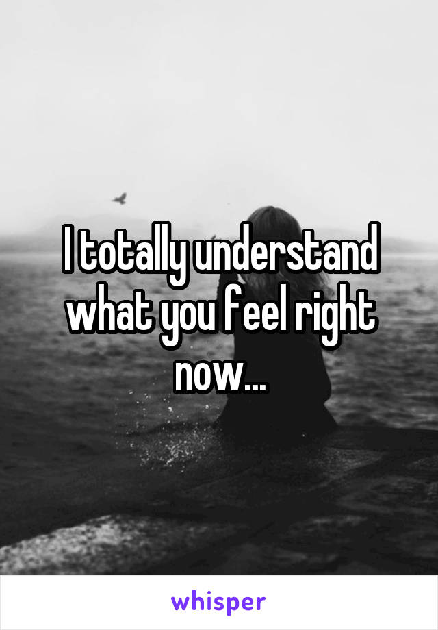 I totally understand what you feel right now...