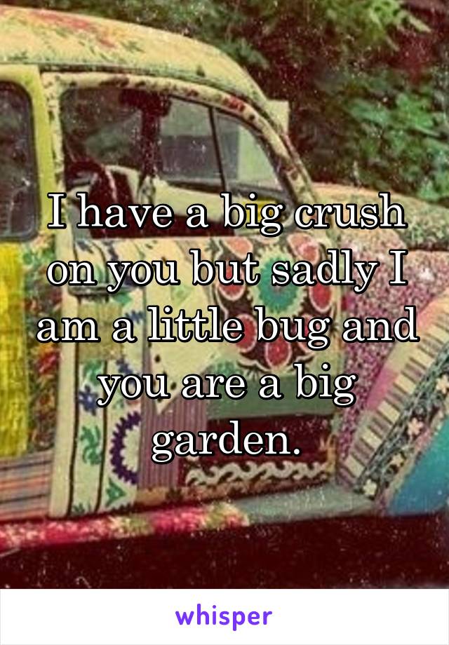 I have a big crush on you but sadly I am a little bug and you are a big garden.