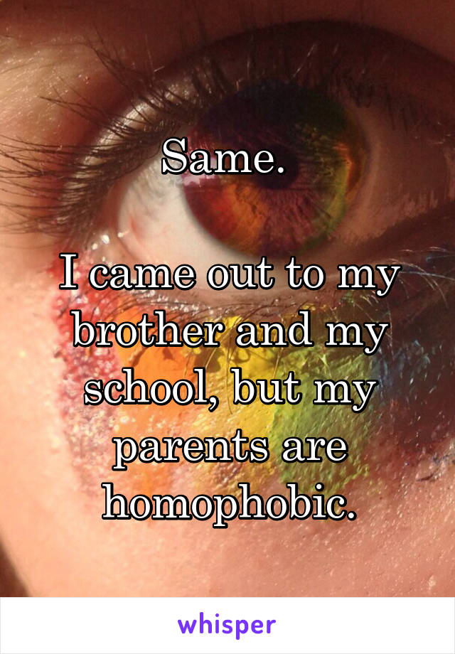 Same. 

I came out to my brother and my school, but my parents are homophobic.