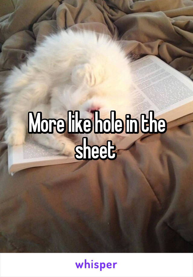 More like hole in the sheet 