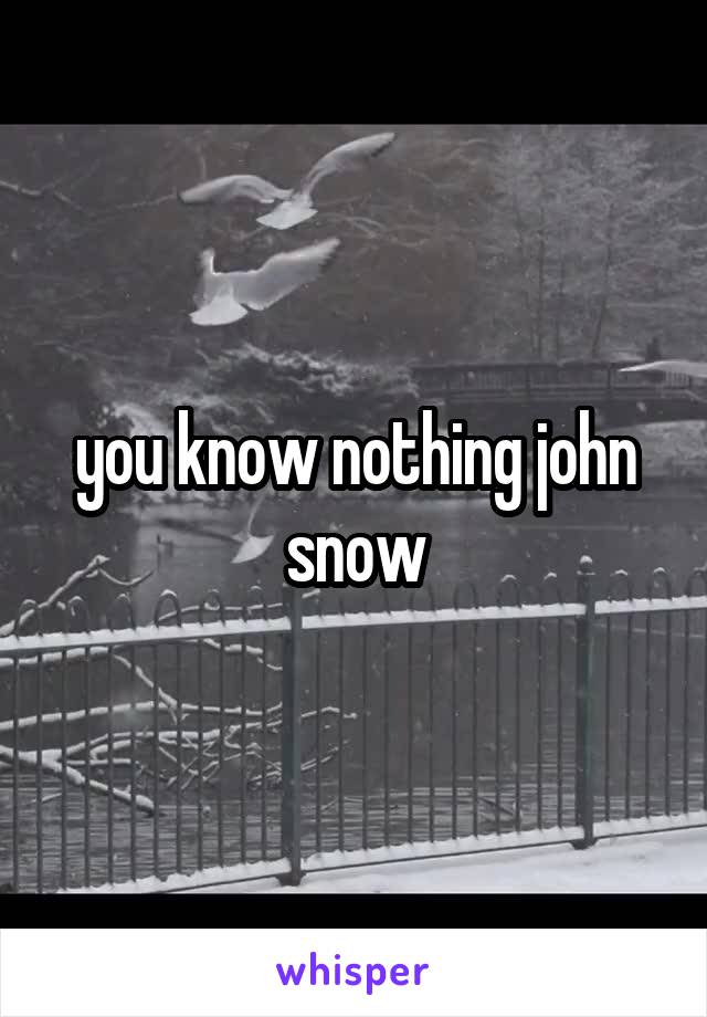 you know nothing john snow