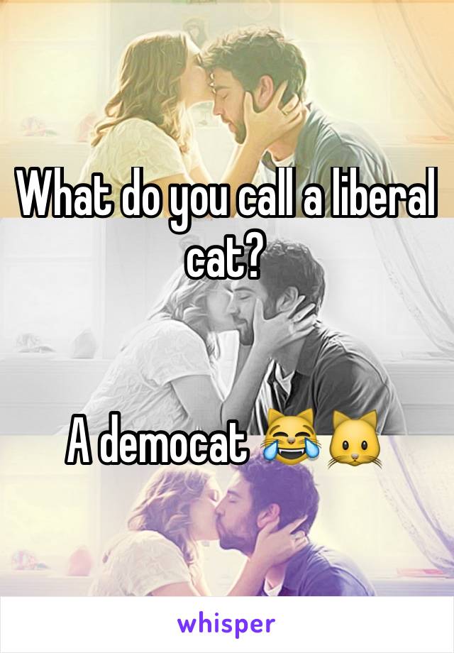 What do you call a liberal cat?


A democat 😹🐱