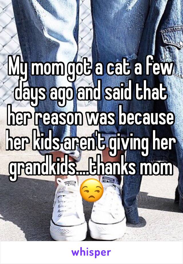 My mom got a cat a few days ago and said that her reason was because her kids aren't giving her grandkids....thanks mom 😒