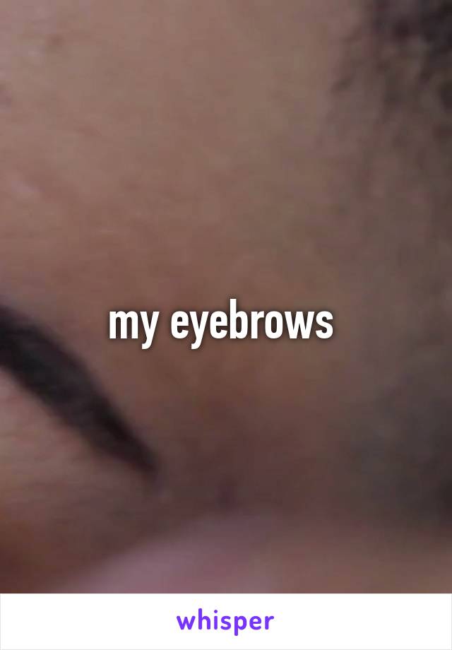 my eyebrows 