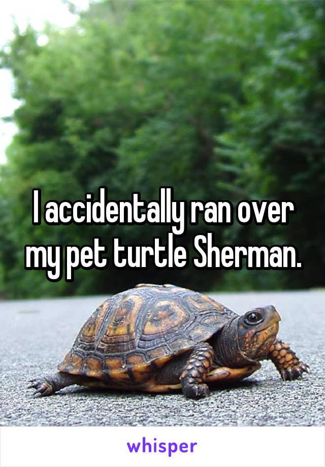 I accidentally ran over my pet turtle Sherman.