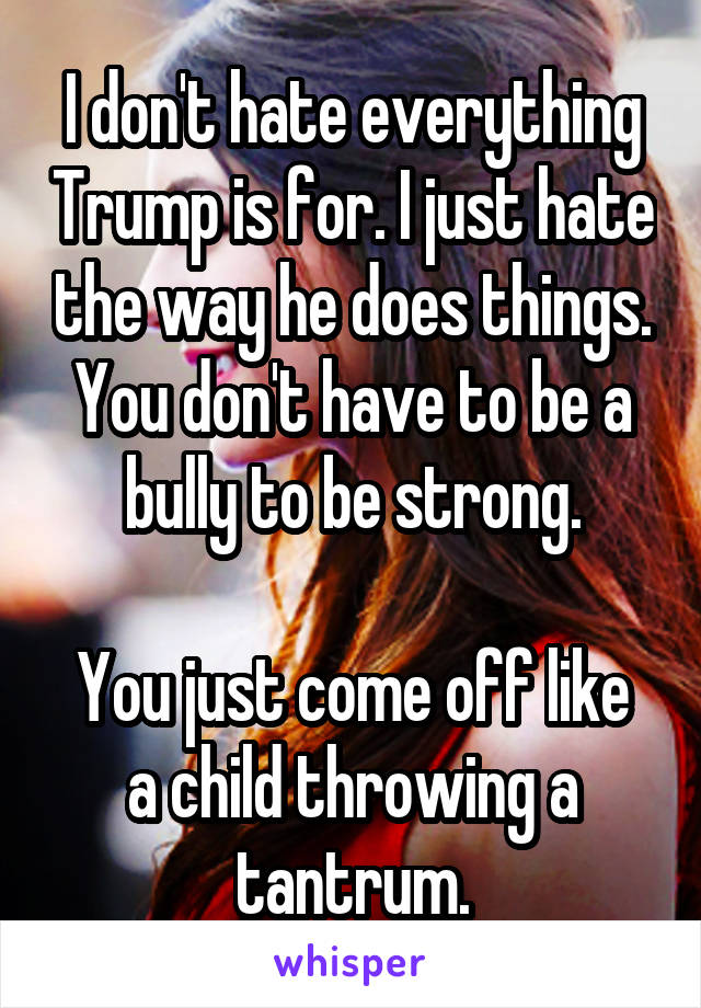 I don't hate everything Trump is for. I just hate the way he does things. You don't have to be a bully to be strong.

You just come off like a child throwing a tantrum.