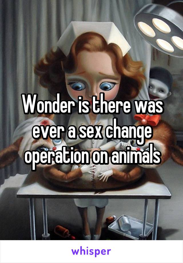 Wonder is there was ever a sex change operation on animals