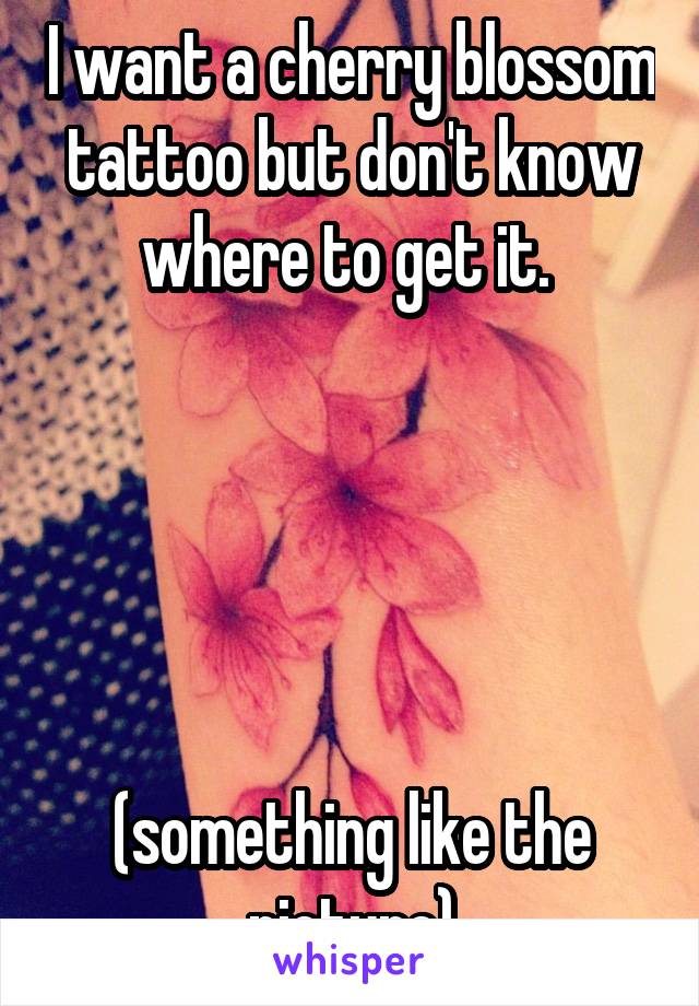 I want a cherry blossom tattoo but don't know where to get it. 





(something like the picture)