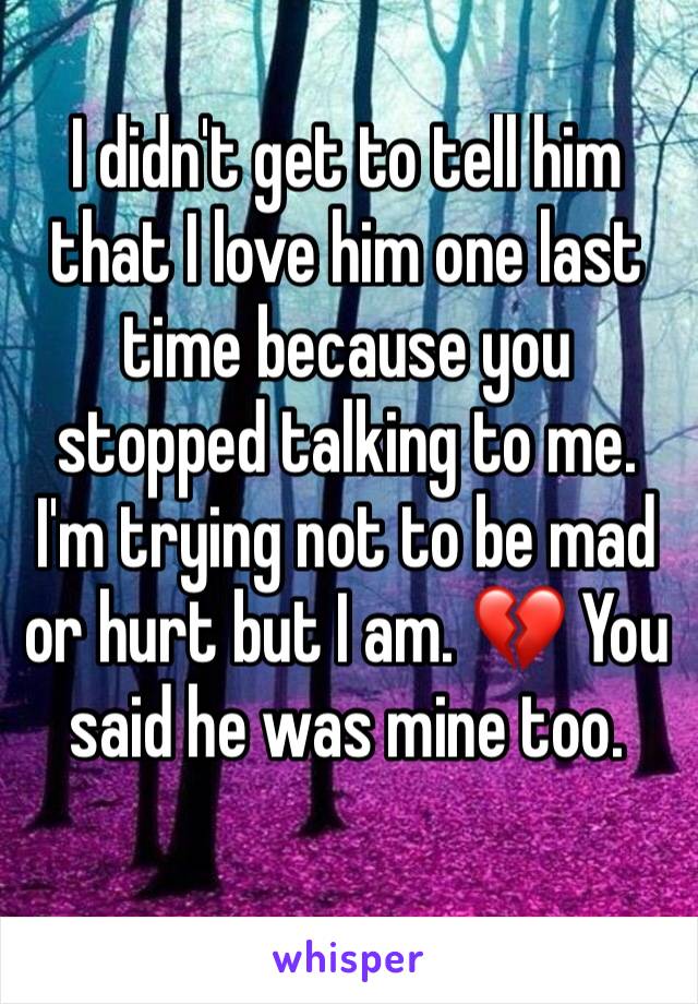 I didn't get to tell him that I love him one last time because you stopped talking to me. I'm trying not to be mad or hurt but I am. 💔 You said he was mine too. 