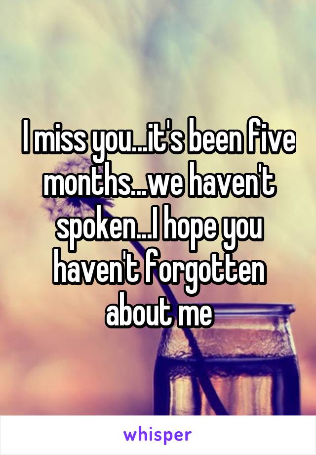 I miss you...it's been five months...we haven't spoken...I hope you haven't forgotten about me