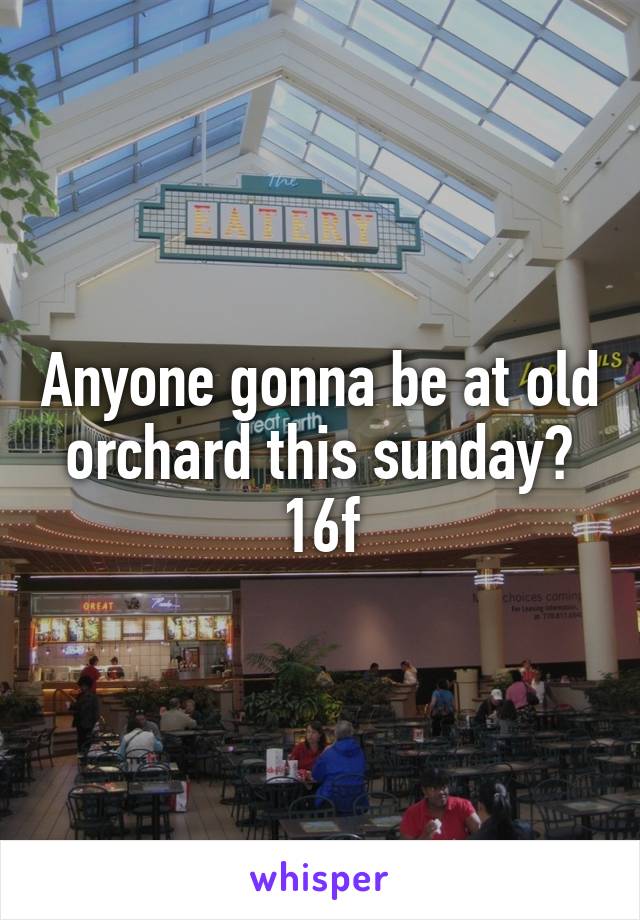 Anyone gonna be at old orchard this sunday?
16f