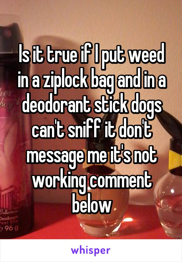 Is it true if I put weed in a ziplock bag and in a deodorant stick dogs can't sniff it don't message me it's not working comment below