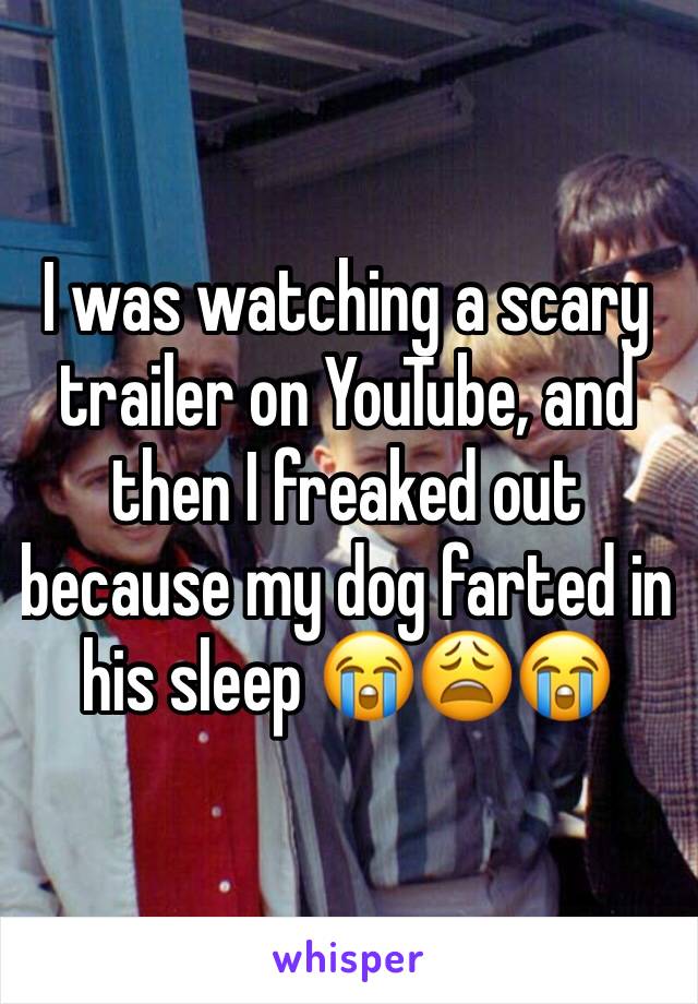 I was watching a scary trailer on YouTube, and  then I freaked out because my dog farted in his sleep 😭😩😭