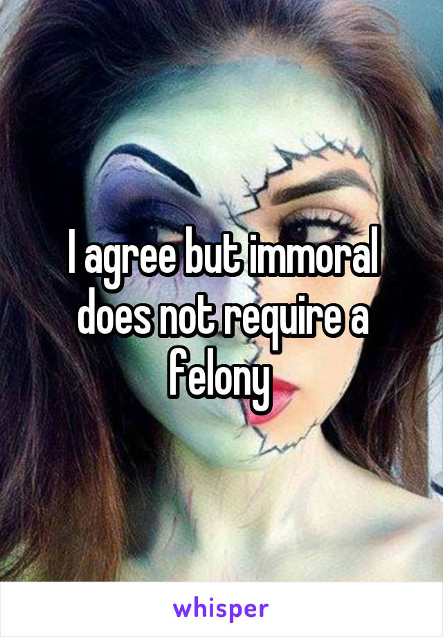 I agree but immoral does not require a felony 