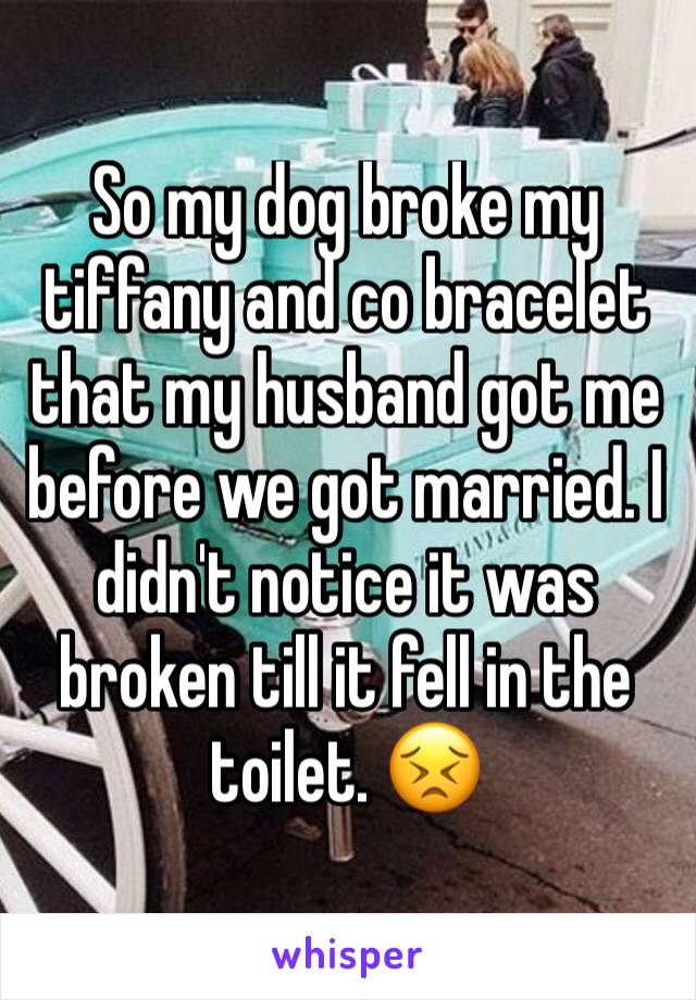 So my dog broke my tiffany and co bracelet that my husband got me before we got married. I didn't notice it was broken till it fell in the toilet. 😣 