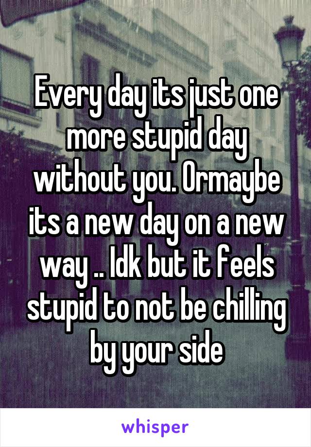 Every day its just one more stupid day without you. Ormaybe its a new day on a new way .. Idk but it feels stupid to not be chilling by your side