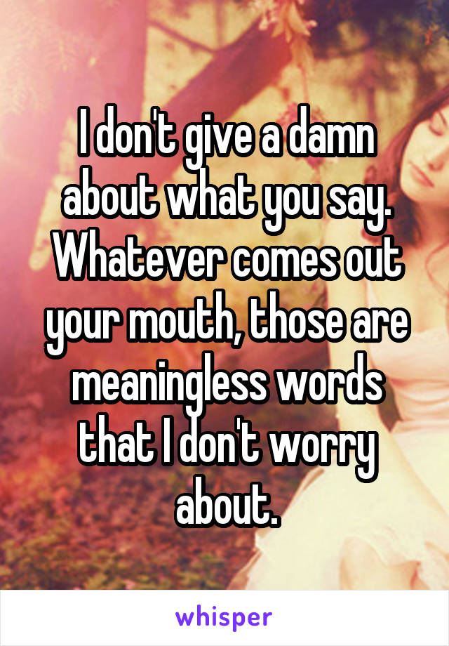 I don't give a damn about what you say. Whatever comes out your mouth, those are meaningless words that I don't worry about.