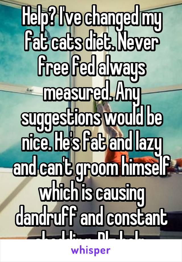 Help? I've changed my fat cats diet. Never free fed always measured. Any suggestions would be nice. He's fat and lazy and can't groom himself which is causing dandruff and constant shedding. Plz help.